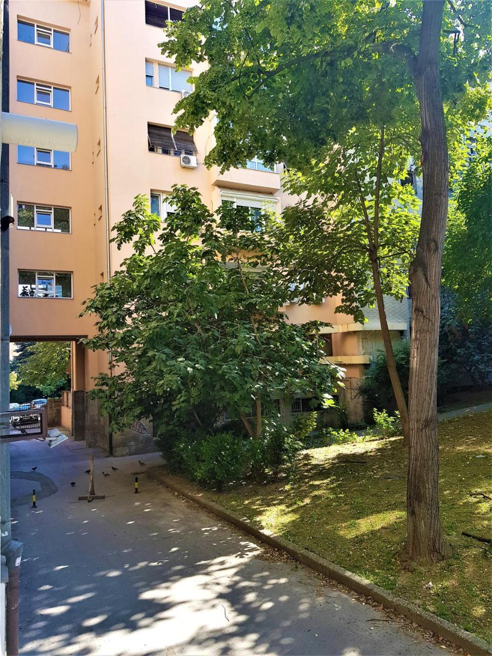 Asya Blue Apartment Belgrado Buitenkant foto